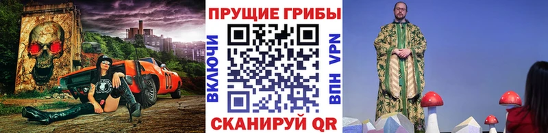 Псилоцибиновые грибы прущие грибы купить закладку кракен Тосно